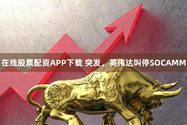 在线股票配资APP下载 突发，英伟达叫停SOCAMM