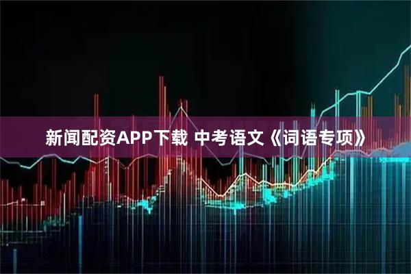 新闻配资APP下载 中考语文《词语专项》