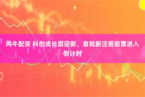 鸿牛配资 科创成长层迎新，首批新注册股票进入倒计时